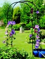 Garden Arch